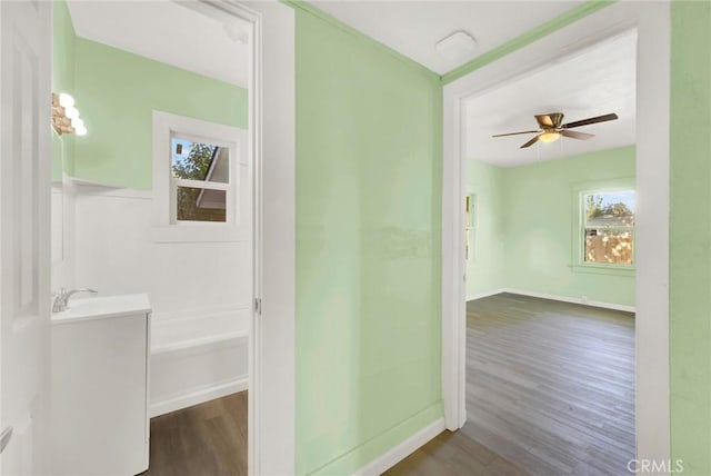 1312 4th, Corning, CA 96021 - corridor featuring dark wood-type flooring and plenty of natural light