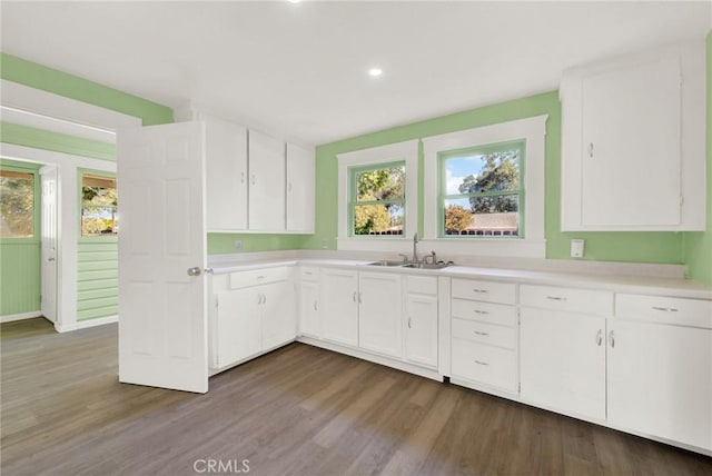 kitchen with white cabinetry, dark wood-type flooring, and sink