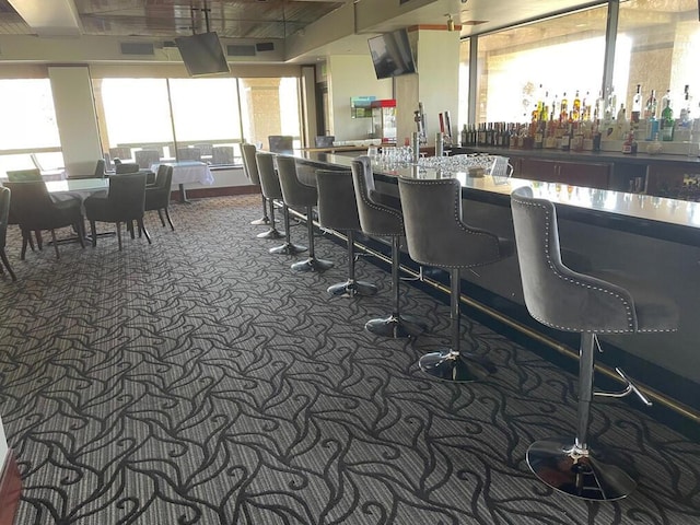 bar with carpet and plenty of natural light