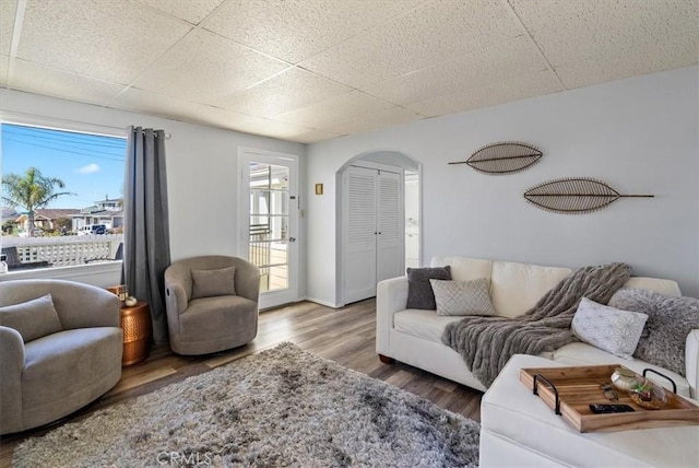 living room featuring dark hardwood / wood-style floors and a paneled ceiling