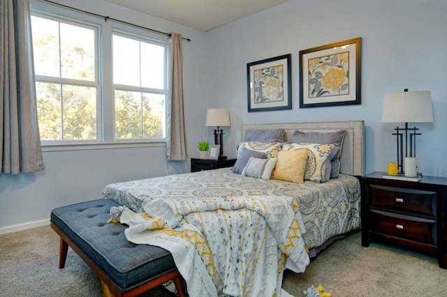 bedroom with carpet flooring