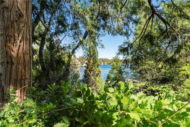 view of landscape with a water view