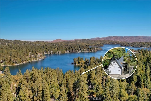 197 Rocky Point Rd, Lake Arrowhead, CA 92352 - water view featuring a forest and a mountainous background