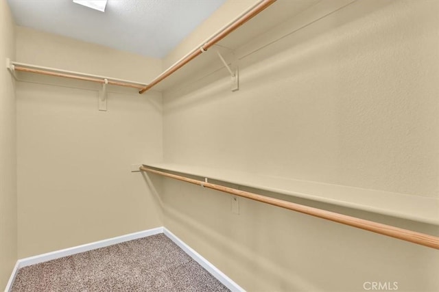 walk in closet with carpet flooring