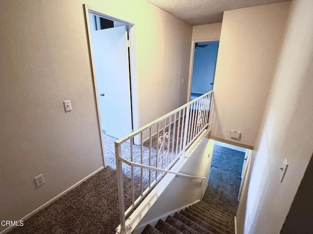 staircase featuring a textured ceiling and carpet floors