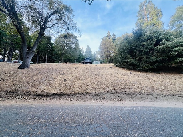 0 Mojave River Rd, Cedarpines Park CA, 92322 land for sale