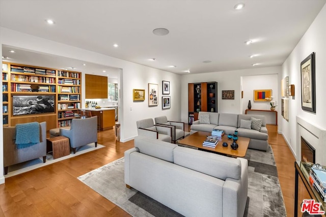 living room featuring light hardwood / wood-style floors