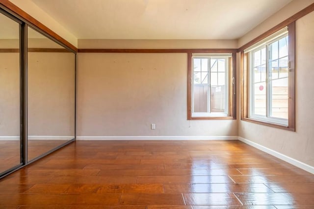 interior space featuring wood-type flooring and a closet