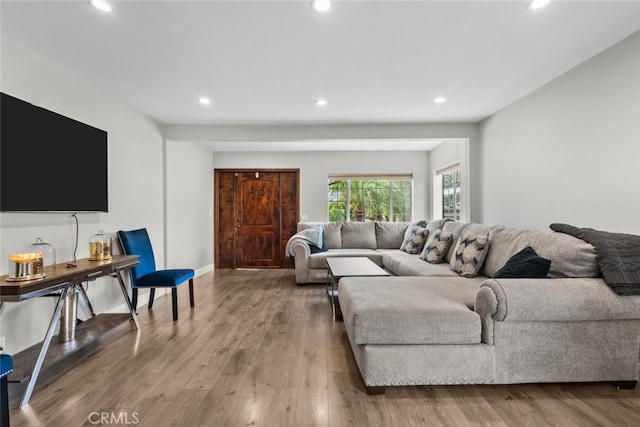 living room with hardwood / wood-style flooring