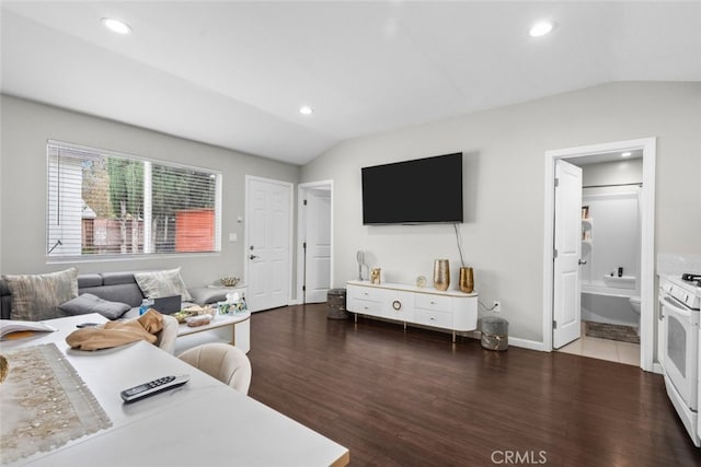 living room featuring lofted ceiling and dark wood-type flooring