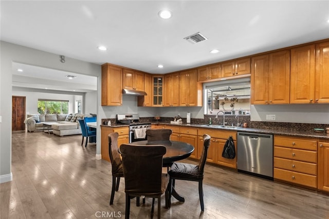 kitchen featuring sink, stainless steel appliances, and wood-type flooring