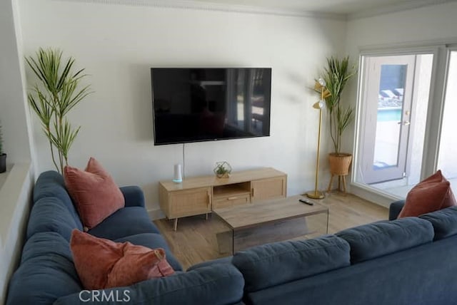 living room featuring wood-type flooring and ornamental molding