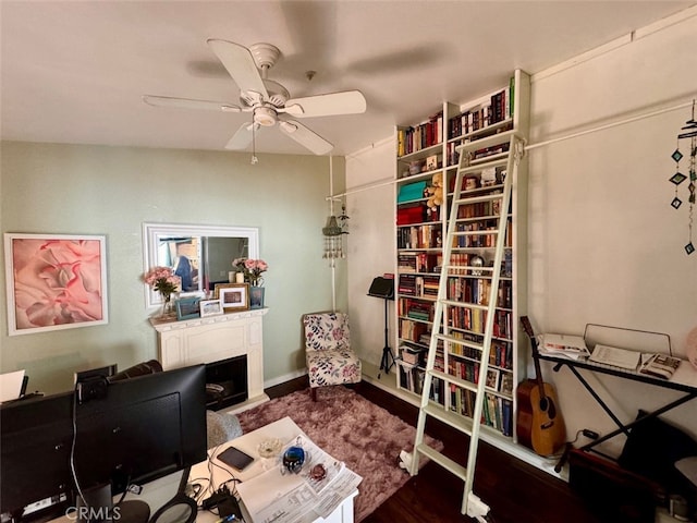 office with ceiling fan