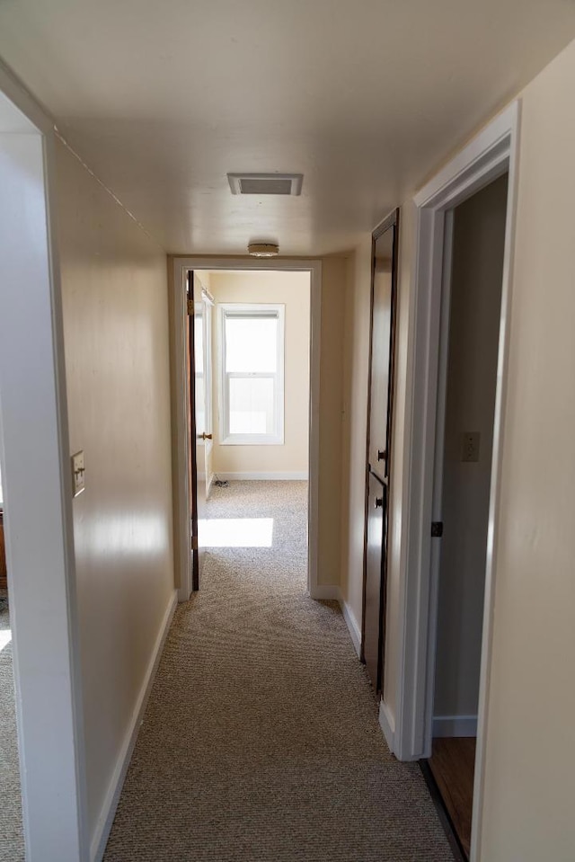 hallway featuring carpet floors