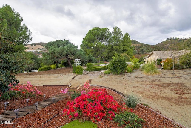 view of yard with a mountain view