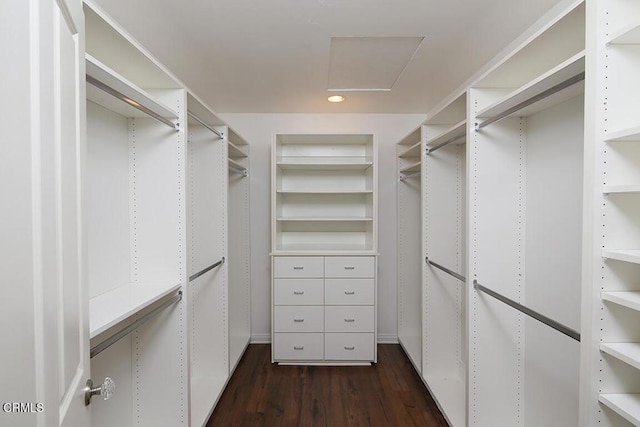 walk in closet featuring dark hardwood / wood-style flooring