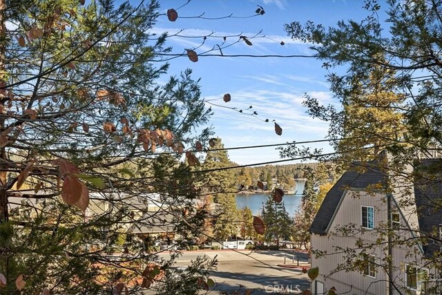 226 Holiday Dr, Lake Arrowhead, CA 92352 - photo 35