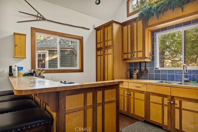 kitchen featuring backsplash, dark hardwood / wood-style floors, and sink