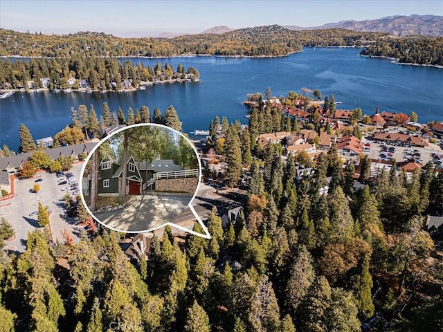 birds eye view of property with a water and mountain view