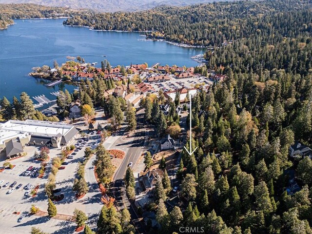 226 Holiday Dr, Lake Arrowhead, CA 92352 - photo 6