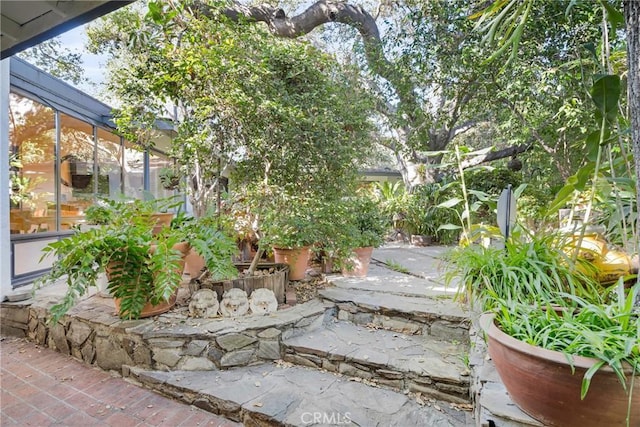 view of yard featuring a patio area