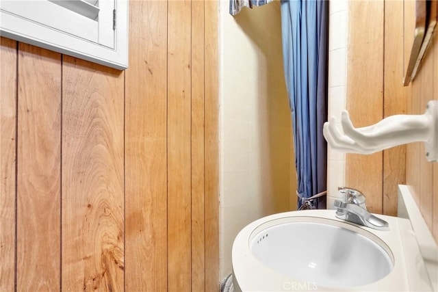 room details featuring wood walls and sink