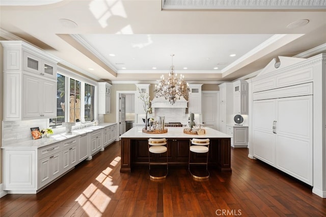 kitchen with dark hardwood / wood-style flooring, a raised ceiling, and a large island