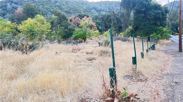 Listing photo 3 for 6565 Soda Bay Rd, Kelseyville CA 95451