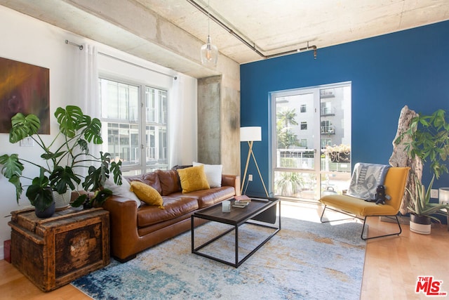 interior space with a wealth of natural light and hardwood / wood-style flooring