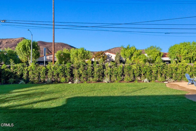 view of yard featuring a mountain view