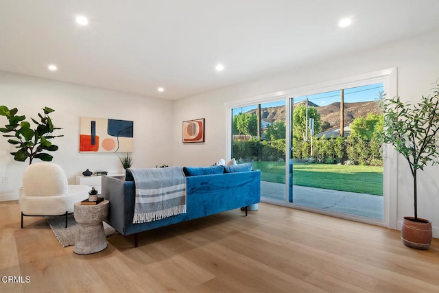 living room featuring light hardwood / wood-style flooring