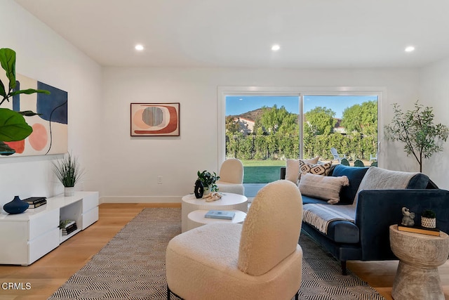 living room featuring hardwood / wood-style floors