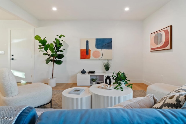 living room with wood-type flooring