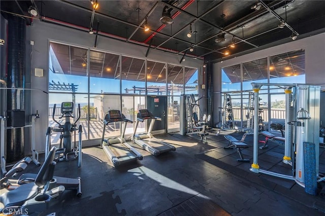 exercise room with plenty of natural light