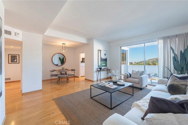 living room with hardwood / wood-style floors