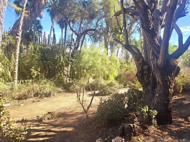 view of landscape