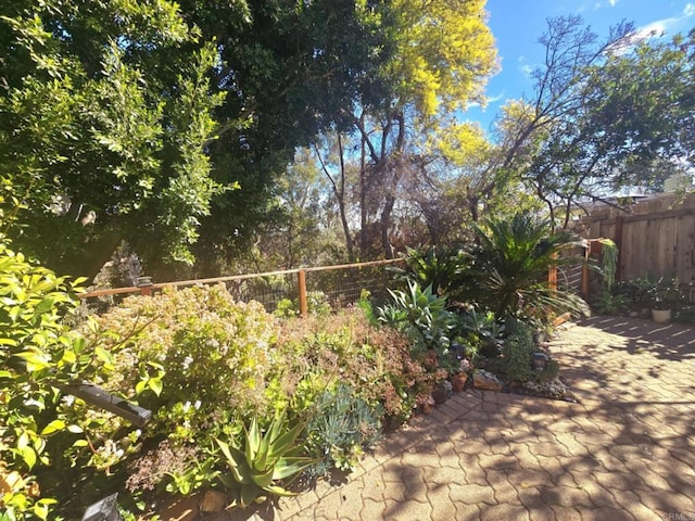 view of yard with a patio