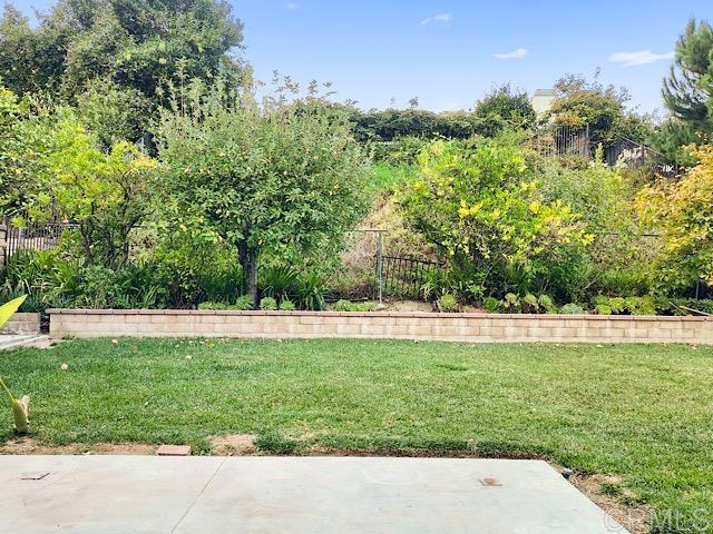 view of yard featuring a patio area