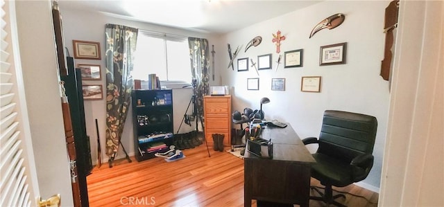 office featuring hardwood / wood-style flooring