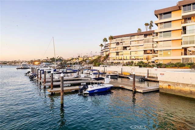 dock area with a water view