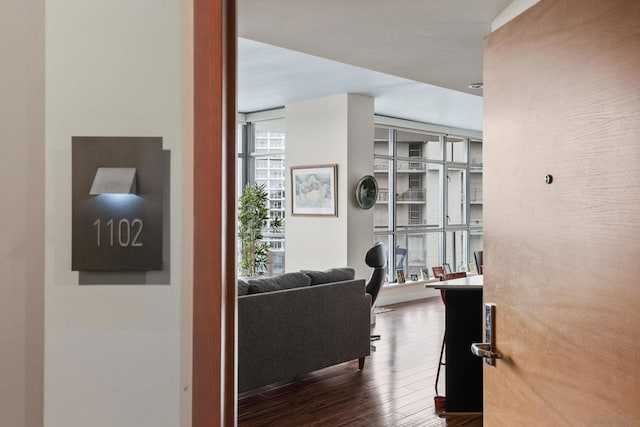 corridor featuring dark hardwood / wood-style floors and floor to ceiling windows