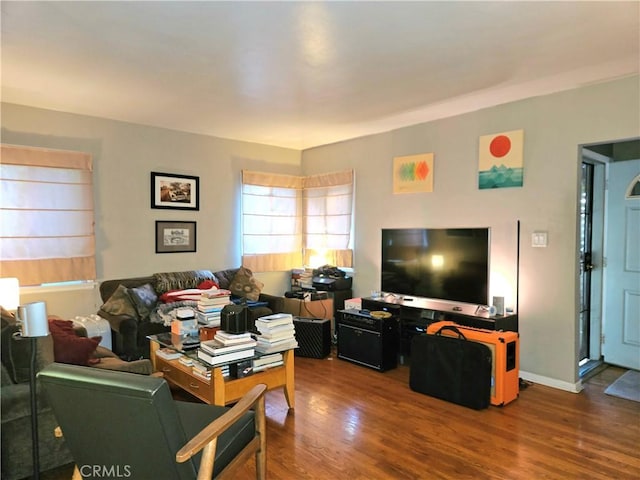 living room with hardwood / wood-style flooring