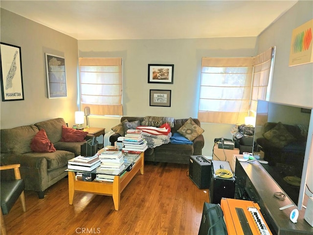 living room with hardwood / wood-style flooring