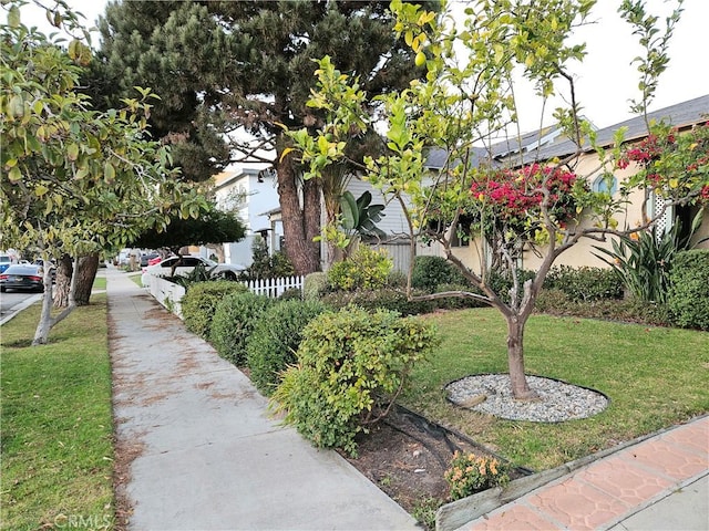 view of property's community featuring a yard