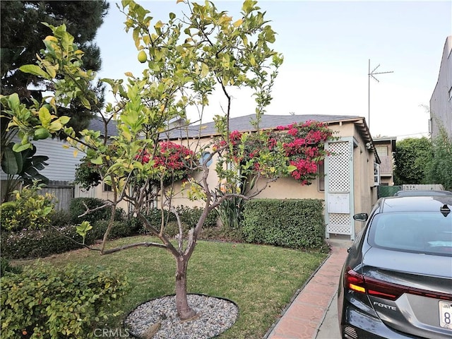 view of front of house featuring a front yard