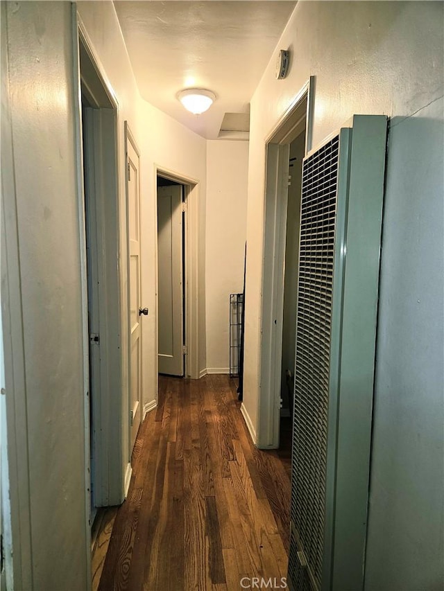 hallway featuring dark hardwood / wood-style flooring