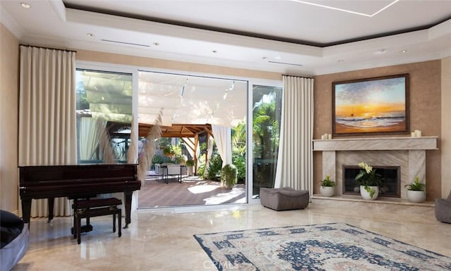 living area with a raised ceiling and a premium fireplace