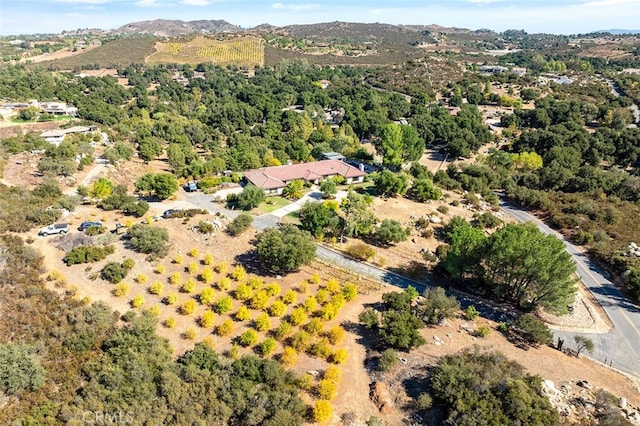 bird's eye view with a mountain view