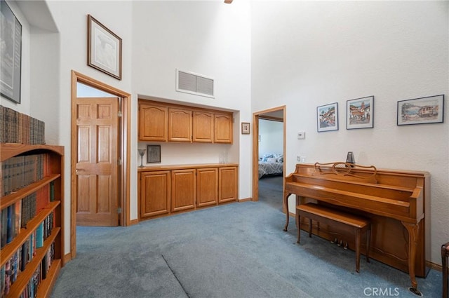 miscellaneous room featuring carpet flooring and a high ceiling