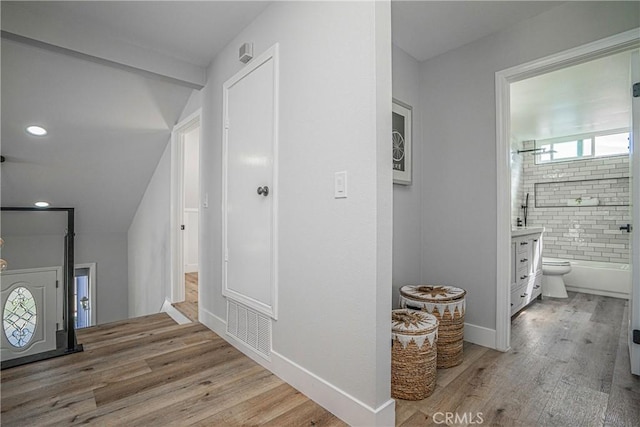 interior space featuring vanity, toilet, and wood-type flooring